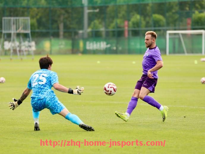 江南综合体育-FM24游戏中意甲球队阵容及实力解析