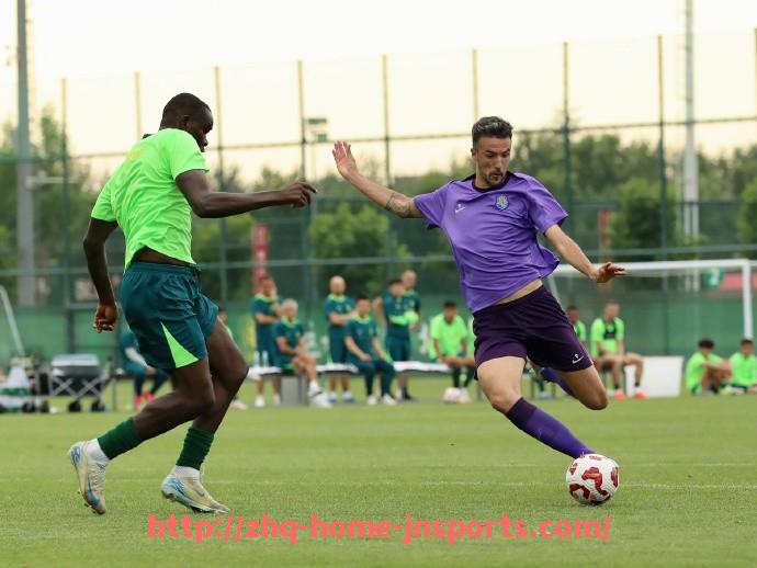 江南综合体育-法甲外援技术进步分析及其在比赛中的应用效果