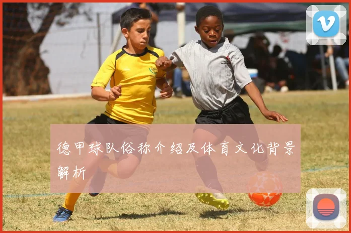 德甲球队俗称介绍及体育文化背景解析