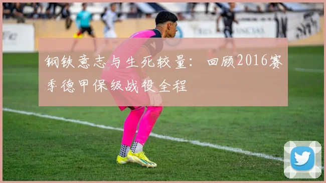 钢铁意志与生死较量:回顾2016赛季德甲保级战役全程