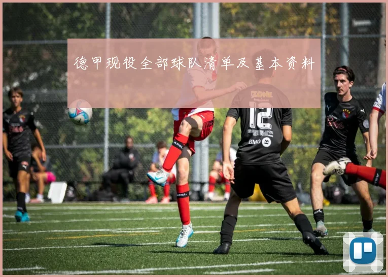 德甲现役全部球队清单及基本资料