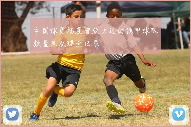 中国球员杨晨曾效力过的德甲球队数量及表现全记录